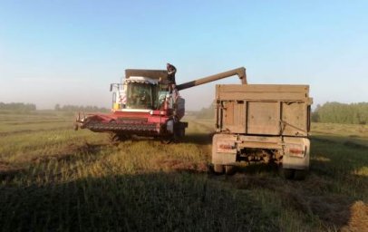 Сельхозтоваропроизводители Далматовского района продолжают уборку урожая